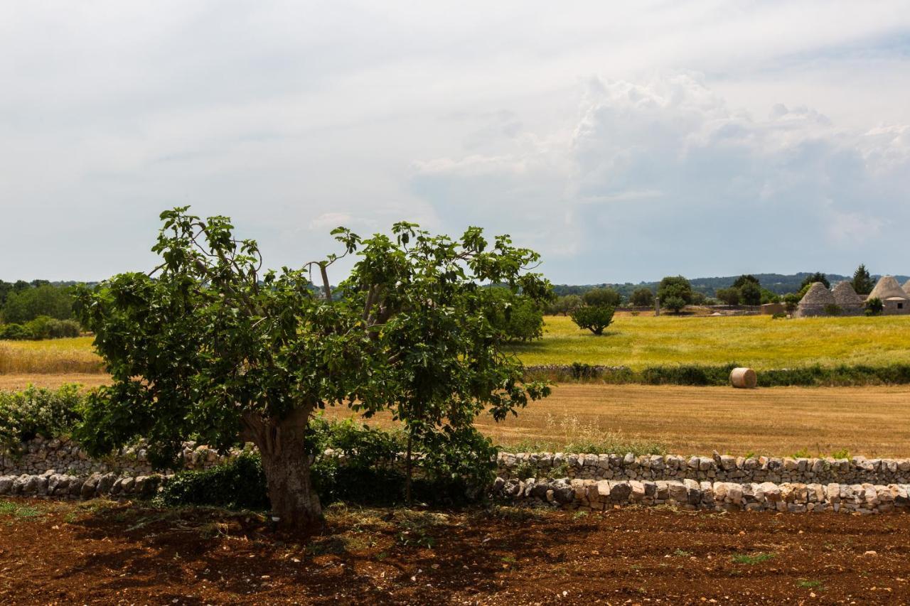Trulli Gianpaolo - Luxury Villa Ostuni Zewnętrze zdjęcie